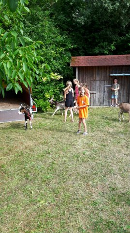 Sommer 2016 (10)
